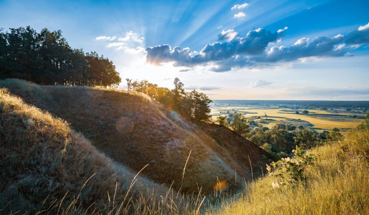 10 szybkich przepisów na zdrowe obiady w 30 minut — tanio, sezonowo i zero waste
