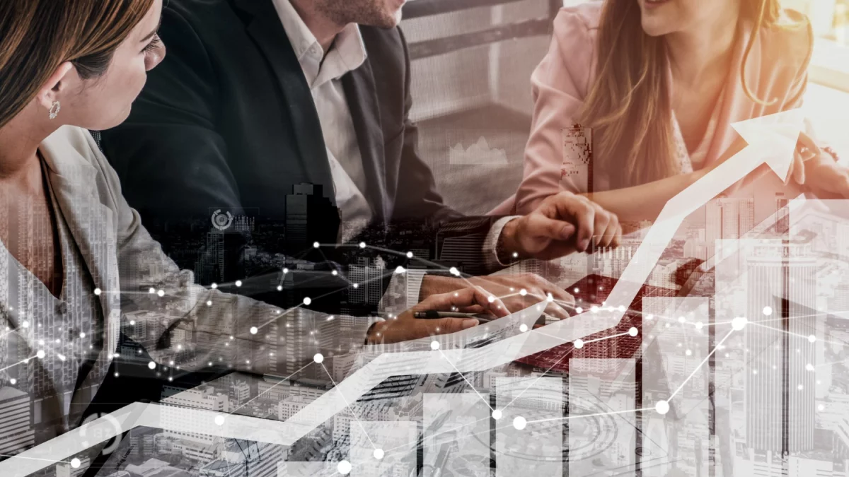 Wartość tego jak  kupić para cord w 2023