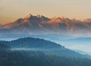 Czy ktoś może mi pomóc wykonać odbiór elektroodpadów w Białymstoku?