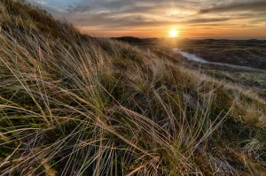 Tylko tutaj więcej informacji o tym jak wykonywać ćwiczenia